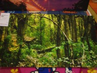 /album/nuovi-arrivi/tele-2-jpg/